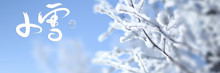 小雪丨雪落天地寒，愿君多珍重