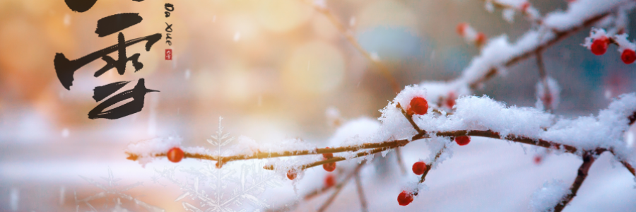 大雪丨 養(yǎng)陰護陽，君心不忘