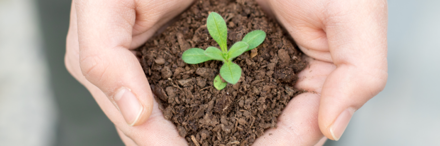火運不及的癸卯年，亟需補火護陽！