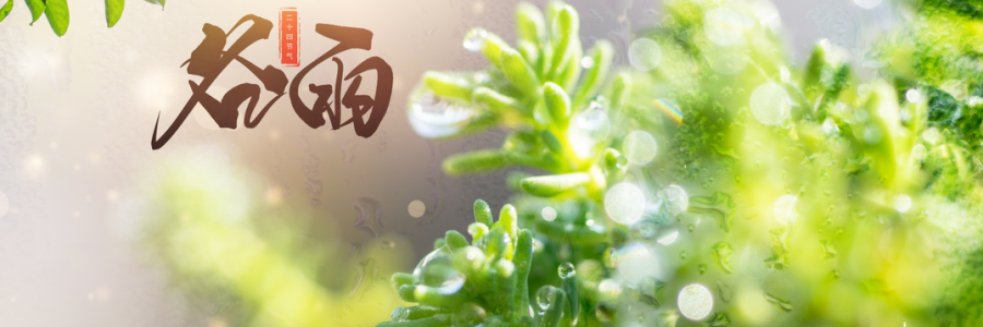 谷雨丨雨生百谷，人間向暖