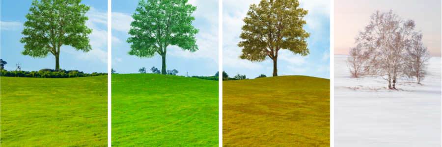 讀懂五臟五行與四季的關(guān)系，養(yǎng)生才算入門……