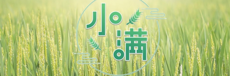 小滿(mǎn) | 萬(wàn)物漸豐，小得盈滿(mǎn)