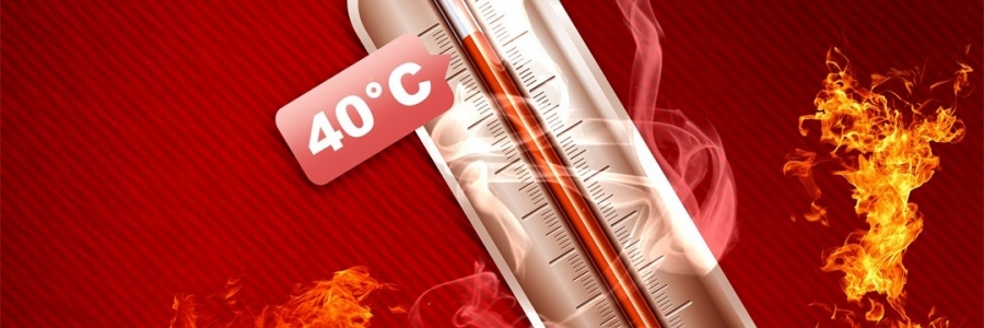 真的會“熱死人”！這個“夏天殺手”要警惕！