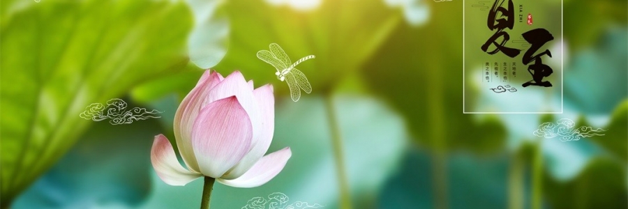 夏至 | 陽極陰生，美好日長