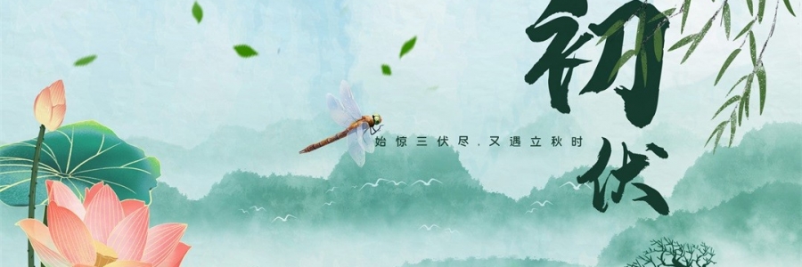 伏氣變福氣，三伏這樣灸，見效快一步！