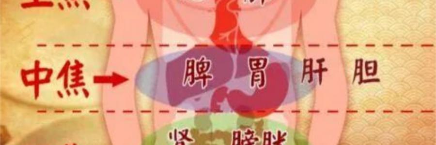 突破600億播放量的《羅剎海市》，竟然還暗藏中醫(yī)奧秘？