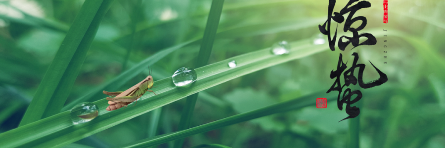 驚蟄丨蓄勢而蟄，應(yīng)時而驚