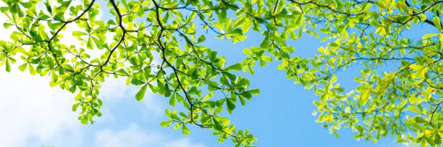 警告：夏天千萬(wàn)不能做的5件事！快來(lái)看看~