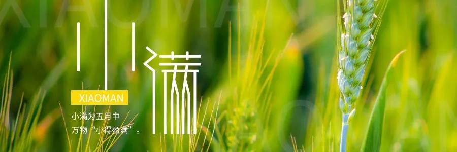 小滿丨小得盈滿，平安入夏