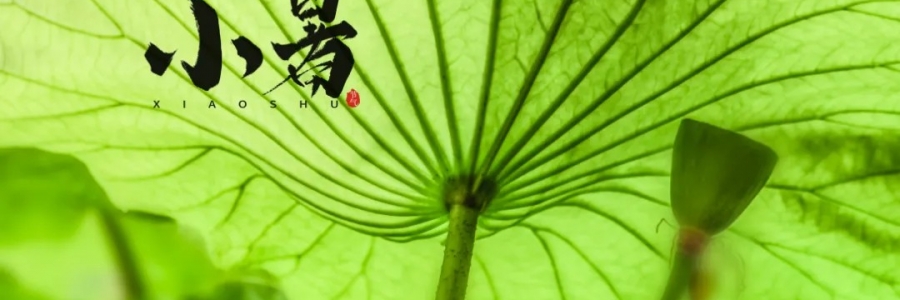小暑丨避暑養(yǎng)心，準備入伏