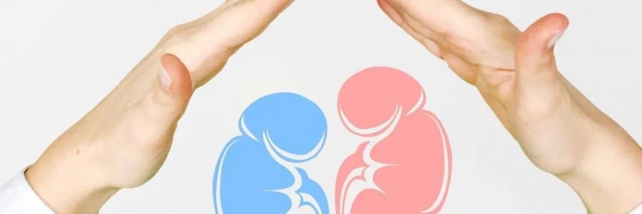 兩個人體的“長壽穴”，每天揉一揉，健康又長壽