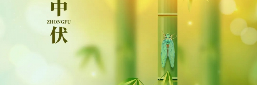 三伏灸丨破三冰，泄三濁，清五毒，祛六淫！